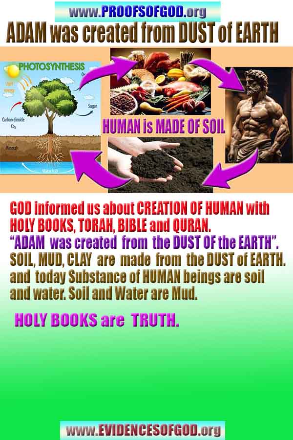 Proofs of Creator God