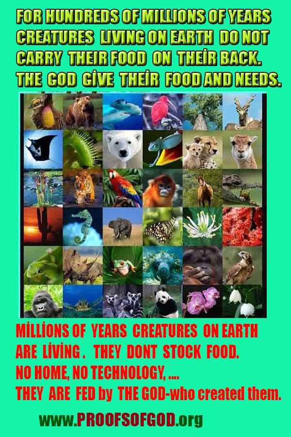 Evidences of Creator God