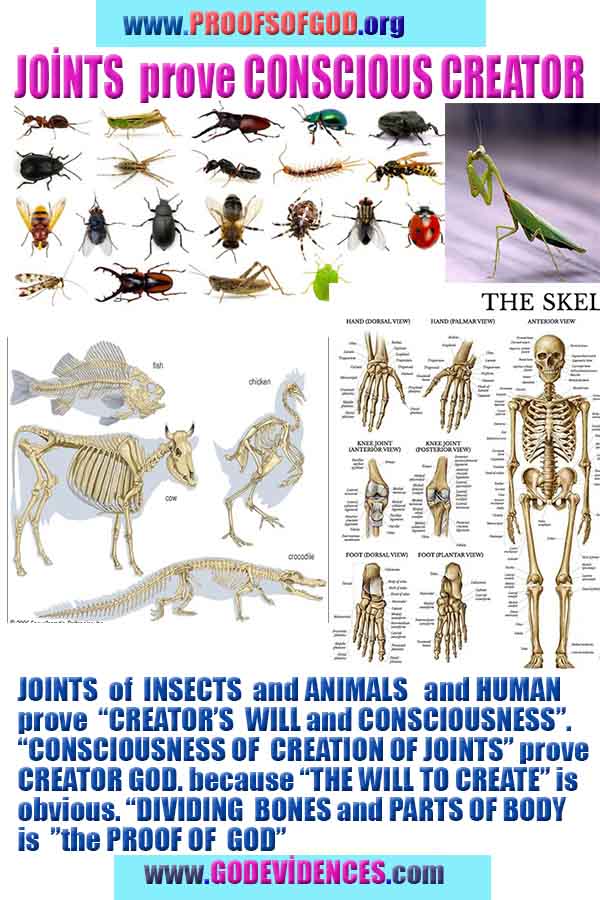 Proofs of Creator God