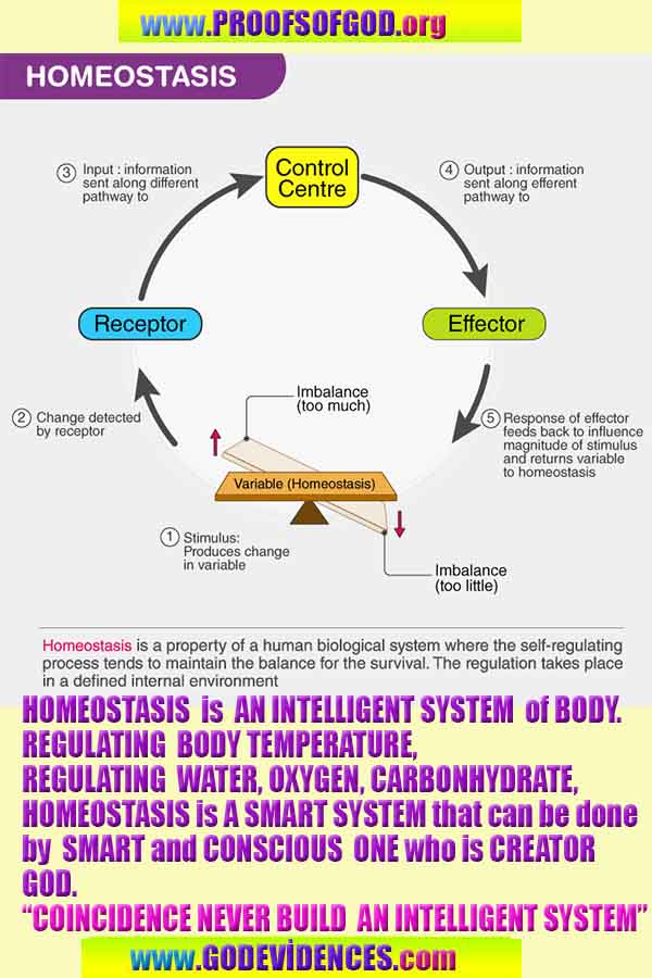 god proofs  god is real,