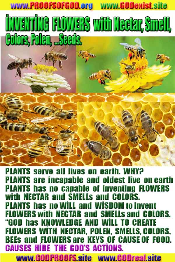 god proofs  god is real,