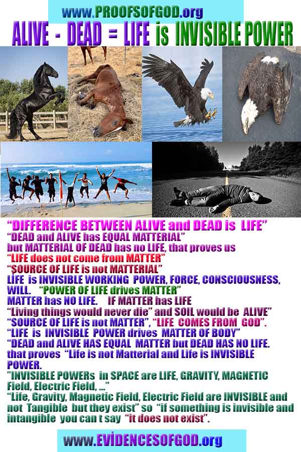 Proofs of Creator God